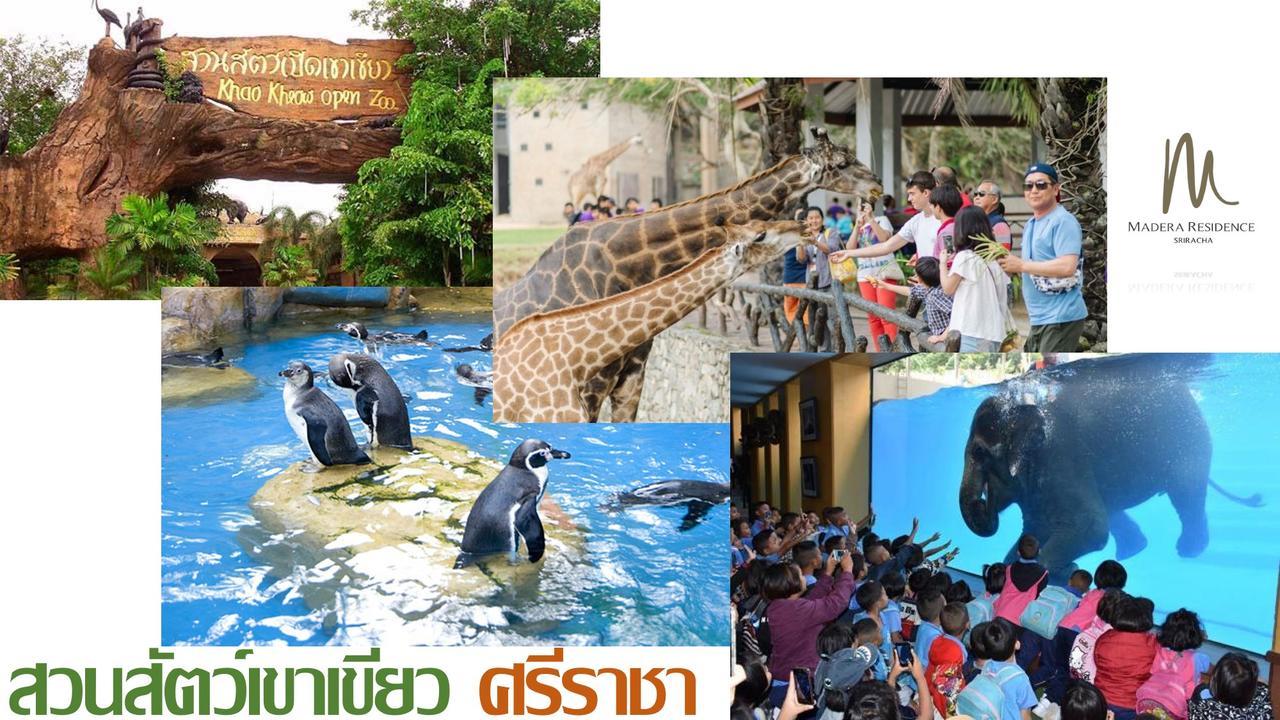 มาเดร่า เรสซิเดนซ์ ศรีราชา  Aparthotel ภายนอก รูปภาพ